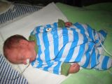 leden 2009 - intermedi�ln� p��e