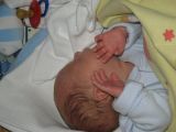 �nor 2009 - intermedi�l