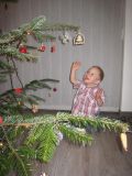 prosinec 2010 - v�noce