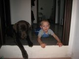 �erven 2012 - s Adarem